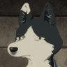 Profilbild von suzumaru