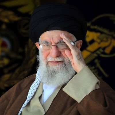 علی سرباز ولایت 🇮🇷🇵🇸's profile picture