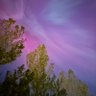 Фото профиля AprilShowers