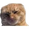 modzz profil fotoğrafı