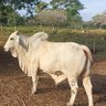 Ernesto Amador's profile picture