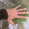 Rodamaleh's profile picture