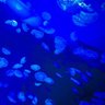 Profilbild von ゆちみ