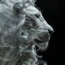 Фото профиля Haywhy019