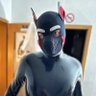 Фото профиля Pup Fips
