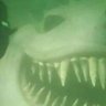Evil Shark's profile picture