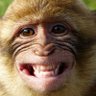 Фото профиля Monkey Man unga