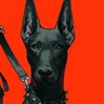 Фото профиля 无边
