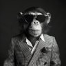 Christian's profile picture