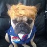 roberta l parker's profile picture