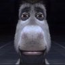 Peter Beter's profile picture