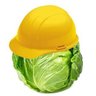 Engineer Cabbage 的头像
