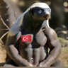 BAY PORSUK's profile picture