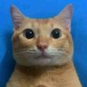 rlgsoul profil fotoğrafı