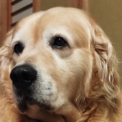 oneonelove4's profile picture