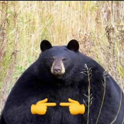 darandy's profile picture