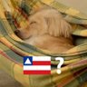 Victor's profile picture