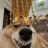 Фото профиля カワウソ