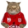 CHAGUE's profile picture