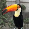 るなち profil fotoğrafı