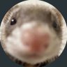 Profilbild von 히언이