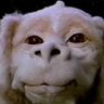 Falkor profil fotoğrafı