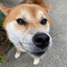 U3 的头像