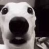 Profilbild von biggesthater