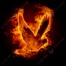 Mohammed Fadel's profile picture