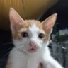 isaayow's profile picture