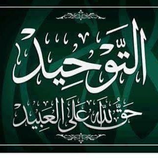 TarAbdeldjabar's profile picture
