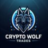 Crypto Wolf Trades's profile picture