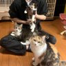 テラ 的头像