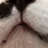 ðââ¬ã¬ãã®äžåðŸ profil fotoÄrafı