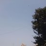 Pari 的头像