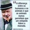 Profilbild von 🇧🇷🇮🇱🇧🇷🇮🇱🇧🇷🇮🇱
