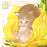 文 profil fotoğrafı