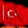 gül profil fotoğrafı