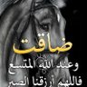 Profilbild von ابواحمد احمد الصباري
