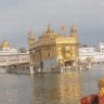 Baljinder singh profil fotoğrafı