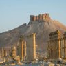 WindOfPalmyra profil fotoğrafı