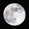 fullmoon🇯🇵's profile picture
