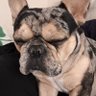 L R's profile picture
