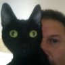 Troy Dawson's profile picture