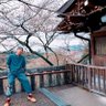 YAMAMA's profile picture