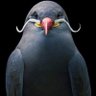 Фото профиля 🦚 فارس بيت بوس 𐩰𐩱𐩧𐩯 𐩽 𐩨𐩺𐩩 𐩽 𐩨𐩥𐩯 𐩽