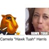 Camela Harris profil fotoğrafı