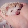 Katsin ๐บ๐ธ๐บ๐ฆ๐๐'s profile picture