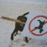 toliv1's profile picture