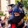 Profilbild von Yorvik- 🏴󠁧󠁢󠁥󠁮󠁧󠁿🏳️‍🌈 - ➡️ Whitby Goth Weekend